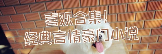 喜欢合集！经典言情豪门小说
